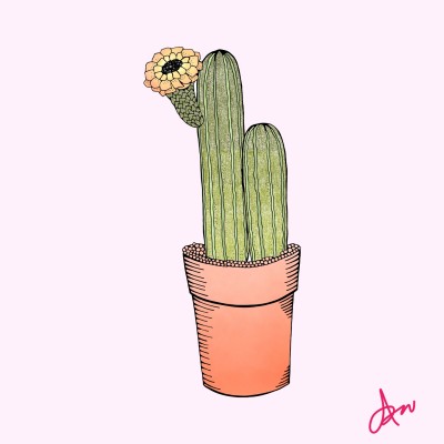 Flora Cactus | ImpulsivePhotos | Digital Drawing | PENUP