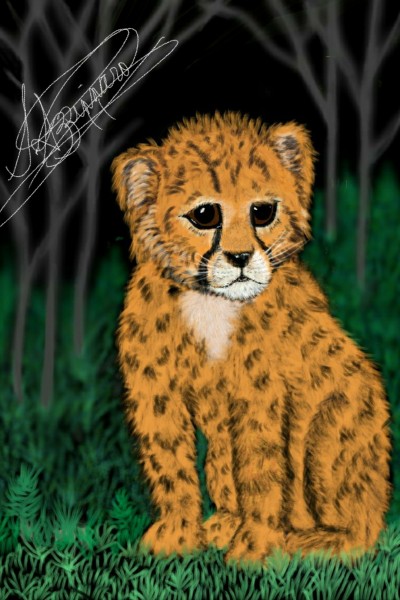Cheetah Cub | snazz | Digital Drawing | PENUP