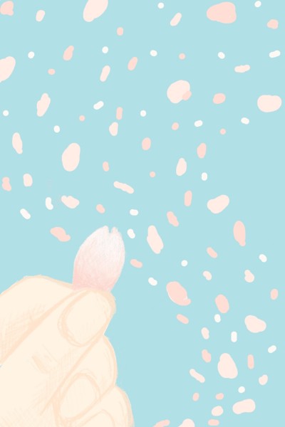 cherry blossom | yangchi | Digital Drawing | PENUP