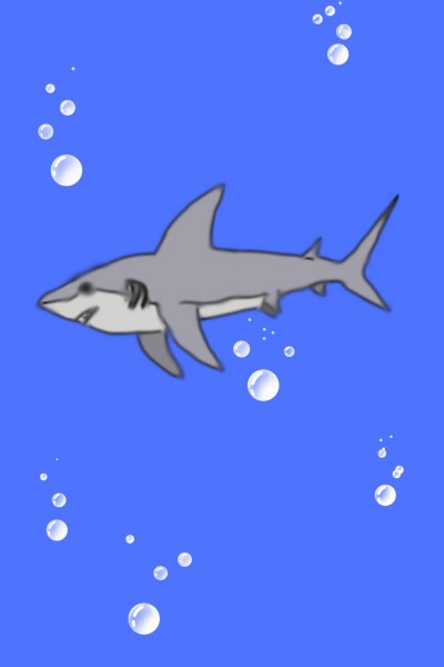 a shark in bubbly water | QueerBeeKitten | Digital Drawing | PENUP
