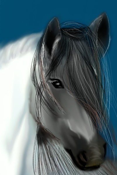horse | valsoares | Digital Drawing | PENUP
