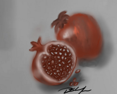 pomegranate | Bluzie | Digital Drawing | PENUP