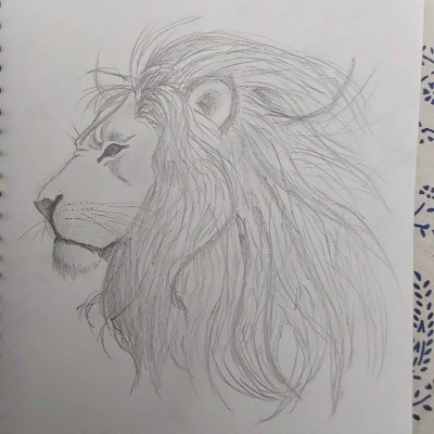 Animal Digital Drawing | Serendipity345 | PENUP