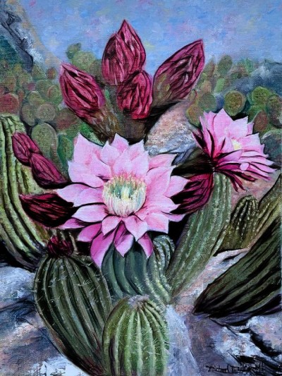 fleurs de desert | pilou | Digital Drawing | PENUP