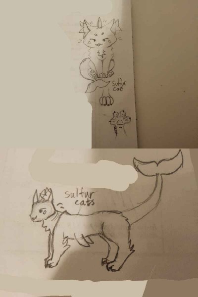 sulfur cats | Hoodwink | Digital Drawing | PENUP