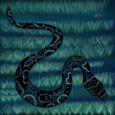 python | BarbaraL | Digital Drawing | PENUP