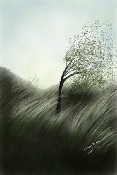 time the wind dances | pokapoka | Digital Drawing | PENUP