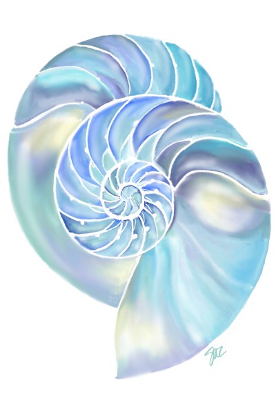 Nautilus Chamber | suzroma | Digital Drawing | PENUP