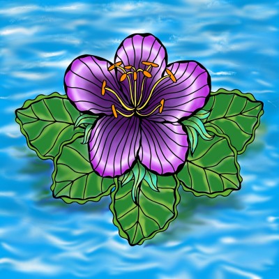 Violeta acuática  | ohara148 | Digital Drawing | PENUP
