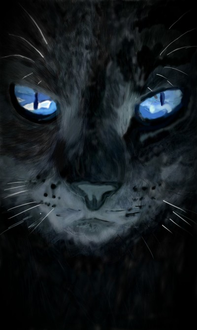Cat | Choloaldon | Digital Drawing | PENUP
