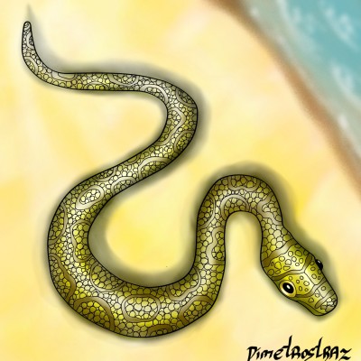 7min snake | Dimetrostraz | Digital Drawing | PENUP