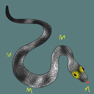 snake | coloringsketch | Digital Drawing | PENUP