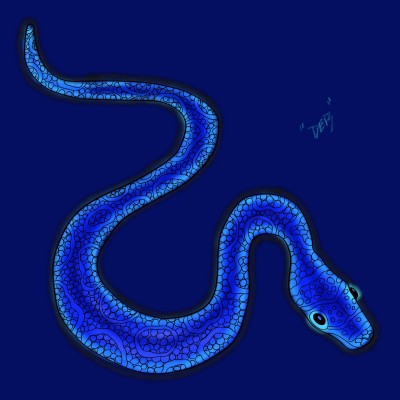Snake | MayFlower | Digital Drawing | PENUP