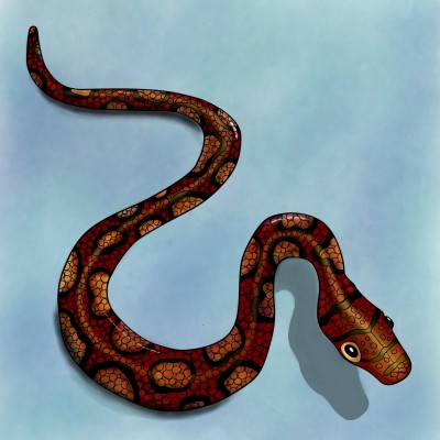Snake | Queenbee | Digital Drawing | PENUP