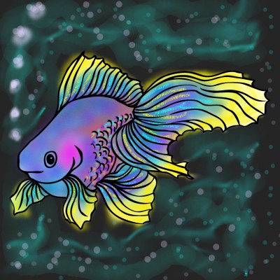 fish beautiful  | mahrokh | Digital Drawing | PENUP
