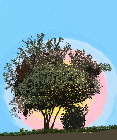 Tufo de Árvores | Ilidia | Digital Drawing | PENUP