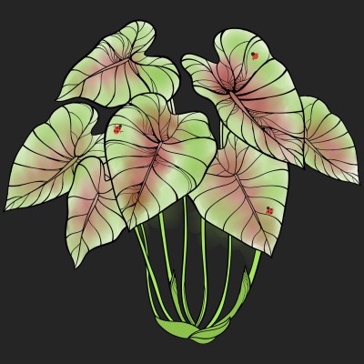 plants | KarenC | Digital Drawing | PENUP