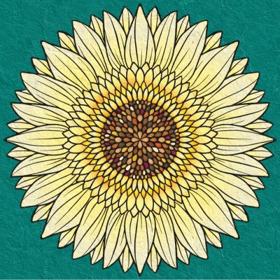 sunflower  | Zenovia | Digital Drawing | PENUP