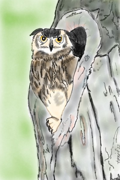 Mr. Owl | TeeTee | Digital Drawing | PENUP