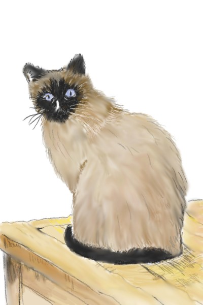 cat | Lozly | Digital Drawing | PENUP