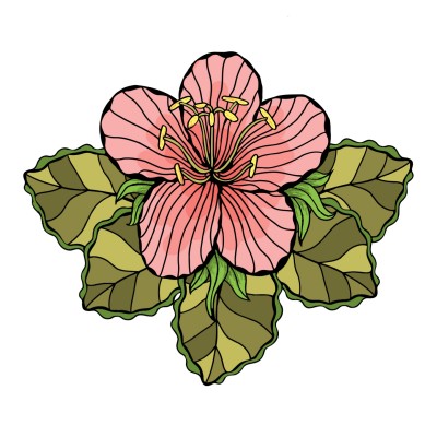 flowers | verlytadella | Digital Drawing | PENUP