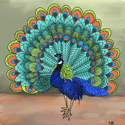peacock  2 | tinie | Digital Drawing | PENUP