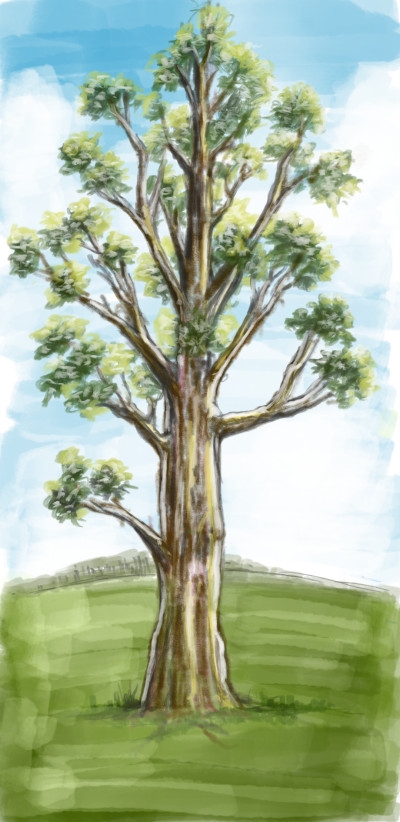 Tree | RKev | Digital Drawing | PENUP
