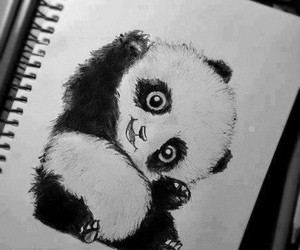 panda | ana_beridze | Digital Drawing | PENUP