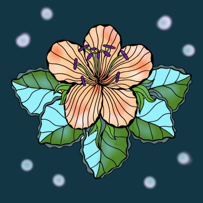 Flower ☆☆ | regina | Digital Drawing | PENUP