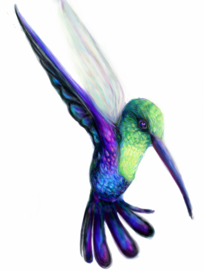hummingbird | heihei | Digital Drawing | PENUP