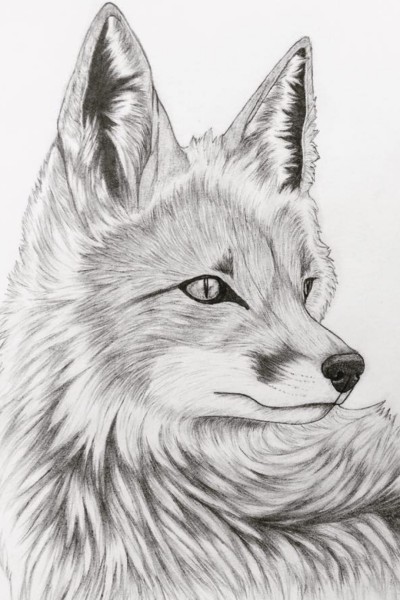 FOX | lucas | Digital Drawing | PENUP