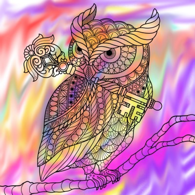 colorful owl for Katerina78 | nightmaremoon | Digital Drawing | PENUP