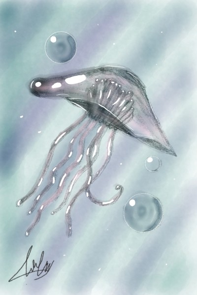 jellyfish | mosheberlin | Digital Drawing | PENUP