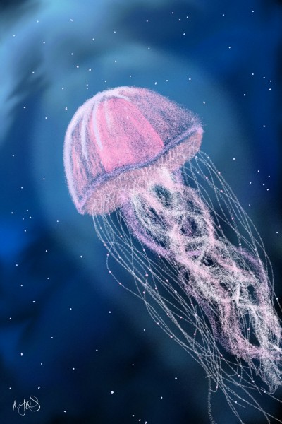 Jelly fish | melissaj93 | Digital Drawing | PENUP