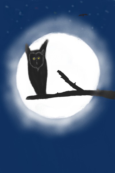 Sleeping Owl in full moon | Zeeshan | Digital Drawing | PENUP