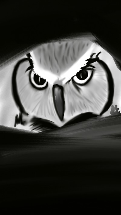 OWL | CHIRANTHAN | Digital Drawing | PENUP