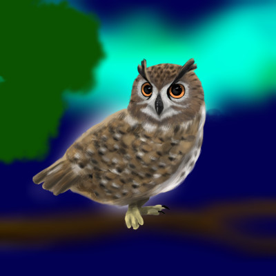 yes I totally made this owl mhm totally | dragonfly_bay | Digital Drawing | PENUP