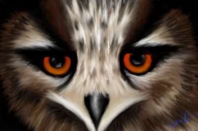 Crazy Eyes Owl | JennD | Digital Drawing | PENUP