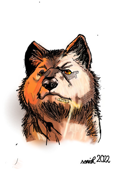 Coyote | GamingNulloSR | Digital Drawing | PENUP