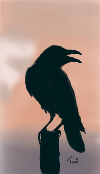 the raven | nyatizy | Digital Drawing | PENUP
