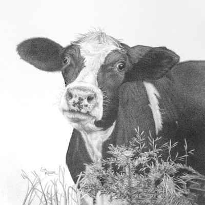 cow | Sonoio | Digital Drawing | PENUP