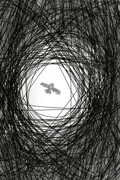 Freedom of the Owl | Sklipes | Digital Drawing | PENUP