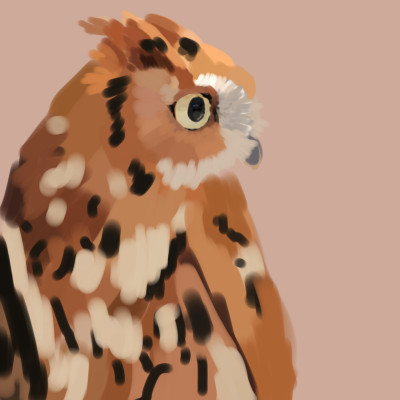 Eastern Screech Owl | BlueAstrxid | Digital Drawing | PENUP