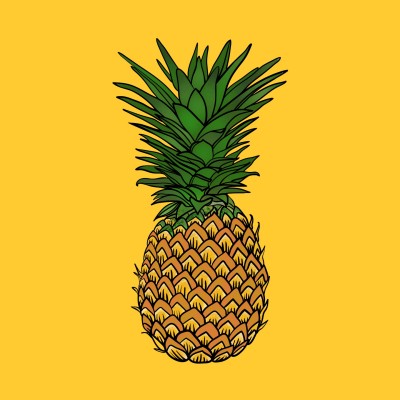 honey pineapple | Prilly | Digital Drawing | PENUP