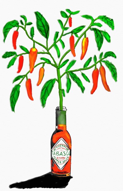 chili plant   | nexsus27 | Digital Drawing | PENUP