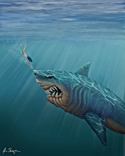 Dive to the shark | Avi_Shatz | Digital Drawing | PENUP