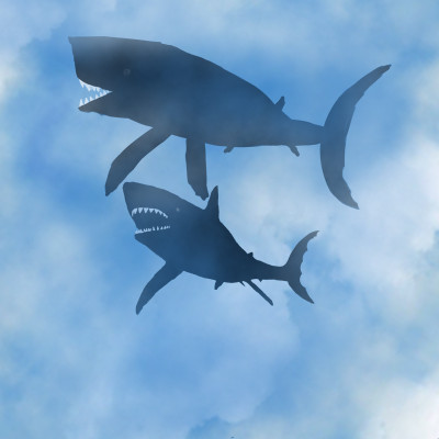 sharks | traceycatz | Digital Drawing | PENUP
