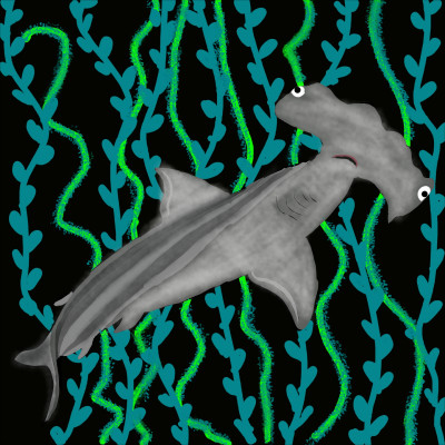 hammer head shark  | traceycatz | Digital Drawing | PENUP