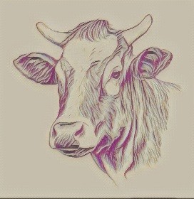 Cow :) | Honey-pumpkin | Digital Drawing | PENUP