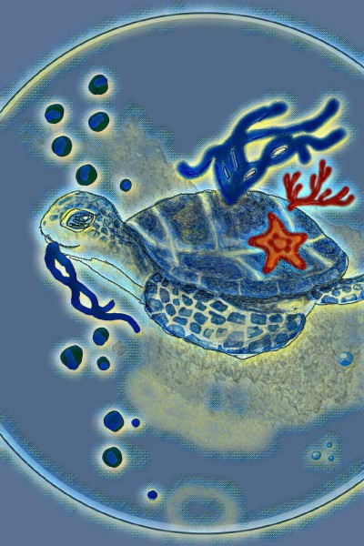 turtle | maris486 | Digital Drawing | PENUP
